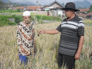 H. Dani Ketua Gapoktan Desa Lembang Kecamatan Leles Kab. Garut.