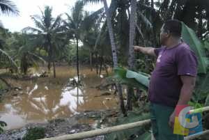 Salah seorang warga menunjukan kolam ikan miliknya tertutup genangan banjir, foto Hermanto