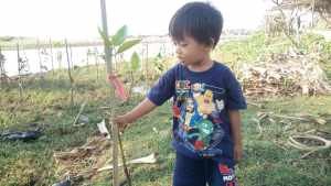 Salah seorang anak bersama tanaman bakau yang baru ditaman orang tuanya di Cibalong Garut Selatan, foto Istimewa