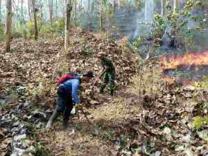 Sejumlah petugas saat mencoba melokalisir rembetan api di hutan jati banjar, foto Hermanto