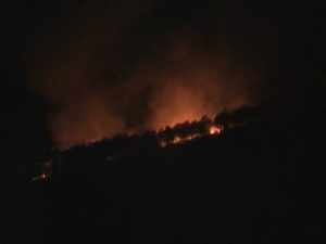 Kobaran Api Membumbung melalap hutan Gunung Guntur, Senin (19/10/2015) malam, foto marteen