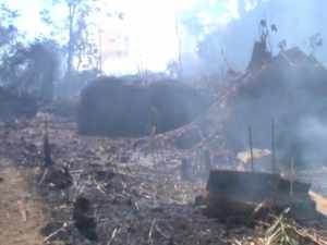 sebagian lokasi hutan jati Sidamulih yang terbakar, foto Dedi Kuswandi