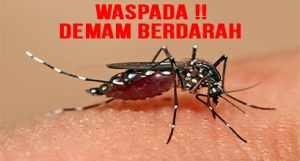 Waspada dengan Deman berdarah Dengue, foto ilustarsi